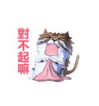 DIDI-animation（個別スタンプ：15）
