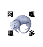 DIDI-animation（個別スタンプ：16）