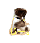 長崎犬産 茶太郎（個別スタンプ：14）
