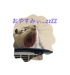 シマリス菜那のひととき2（個別スタンプ：2）