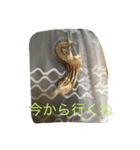 シマリス菜那のひととき2（個別スタンプ：12）