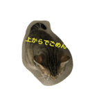 ねこのスコフィールド（個別スタンプ：8）