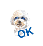we dog（個別スタンプ：1）