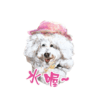 we dog（個別スタンプ：3）