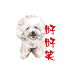 we dog（個別スタンプ：4）