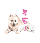 we dog（個別スタンプ：6）