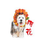 we dog（個別スタンプ：7）