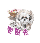 we dog（個別スタンプ：9）