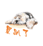 we dog（個別スタンプ：11）