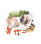 we dog（個別スタンプ：12）