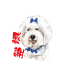 we dog（個別スタンプ：14）