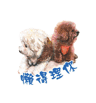 we dog（個別スタンプ：15）
