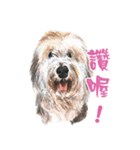 we dog（個別スタンプ：16）