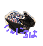 フレンチブルドッグ ガブリ（個別スタンプ：2）
