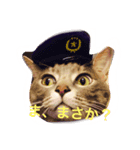 なな猫。（個別スタンプ：2）