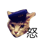 なな猫。（個別スタンプ：4）
