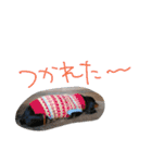 うちのわんわんず（個別スタンプ：10）