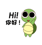Tortoise Ruru（個別スタンプ：1）