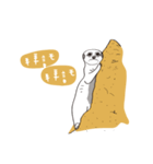 Safari Live（個別スタンプ：4）
