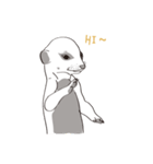 Safari Live（個別スタンプ：8）