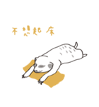 Safari Live（個別スタンプ：10）