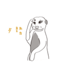 Safari Live（個別スタンプ：11）
