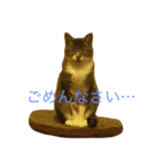 猫の花（個別スタンプ：6）