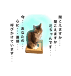 猫の花（個別スタンプ：10）