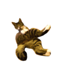猫の花（個別スタンプ：16）