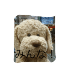 呼んでね！（個別スタンプ：7）