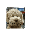 呼んでね！（個別スタンプ：8）
