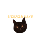 犬ぅと猫ぉ（個別スタンプ：7）