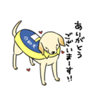 日本介助犬協会かわいいラブちゃんスタンプ（個別スタンプ：2）