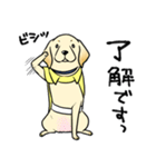 日本介助犬協会かわいいラブちゃんスタンプ（個別スタンプ：4）