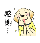 日本介助犬協会かわいいラブちゃんスタンプ（個別スタンプ：8）