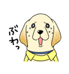 日本介助犬協会かわいいラブちゃんスタンプ（個別スタンプ：12）