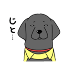 日本介助犬協会かわいいラブちゃんスタンプ（個別スタンプ：13）