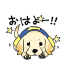 日本介助犬協会かわいいラブちゃんスタンプ（個別スタンプ：18）