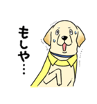 日本介助犬協会かわいいラブちゃんスタンプ（個別スタンプ：20）