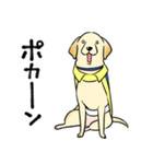 日本介助犬協会かわいいラブちゃんスタンプ（個別スタンプ：22）