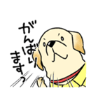 日本介助犬協会かわいいラブちゃんスタンプ（個別スタンプ：24）