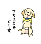 日本介助犬協会かわいいラブちゃんスタンプ（個別スタンプ：30）