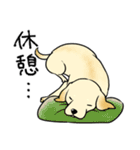 日本介助犬協会かわいいラブちゃんスタンプ（個別スタンプ：36）