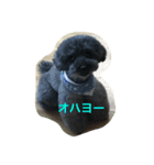 クロちゃんの1日（個別スタンプ：2）