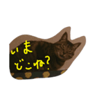 にゃん吉0105（個別スタンプ：5）