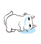 gorogoronyanko（個別スタンプ：21）