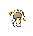 ダジャレ猫さん（個別スタンプ：10）