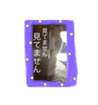 ちーび＆くぅぅ（個別スタンプ：4）