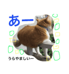 ちーび＆くぅぅ（個別スタンプ：7）