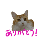 気まぐれアリサ 1（個別スタンプ：1）